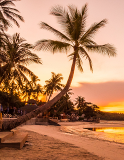 Mozambique